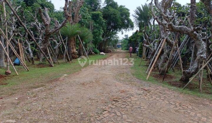 Di jual tanah jalan raya parung bogor 1