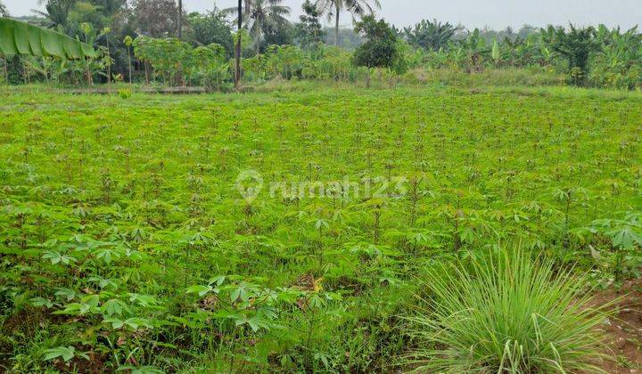 Di jual tanah raya ci beteng muara ci seeng bogor 2