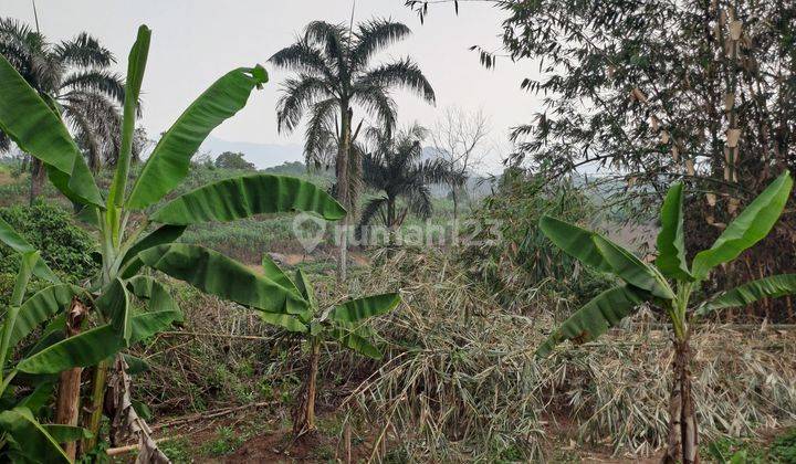 Di jual tanah ci seeng bogor 2