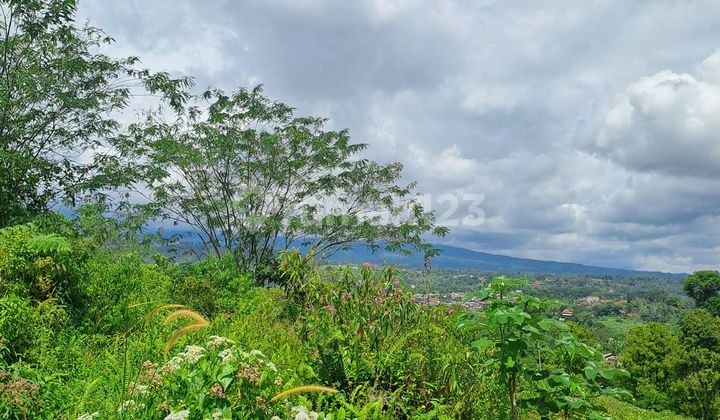 Di Jual Tanah Jalan Terobosan Cipayung Di Jual Tanah Jalan Terobosan Cipayung