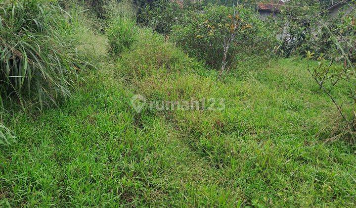 Di Jual Tanah Di Kemang Bogor Candali 2