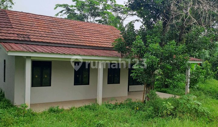 Di Jual Tanah Jalan Tegal Kemang Bogor Di Jual Tanah Jalan Tegal Kemang Bogor