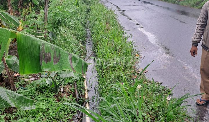 Di Jual Tanah Rumpin Bogor