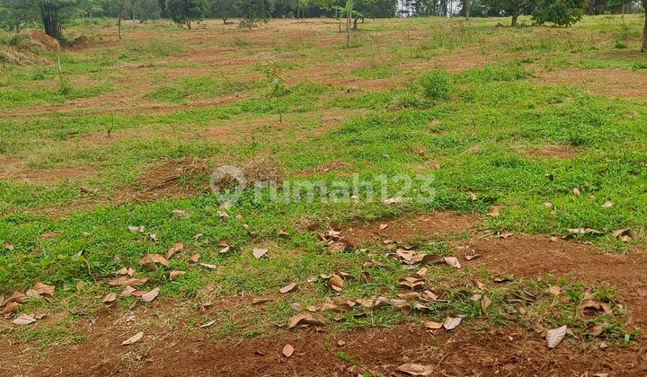 For Sale Land Sukaresmi Sukamakmur