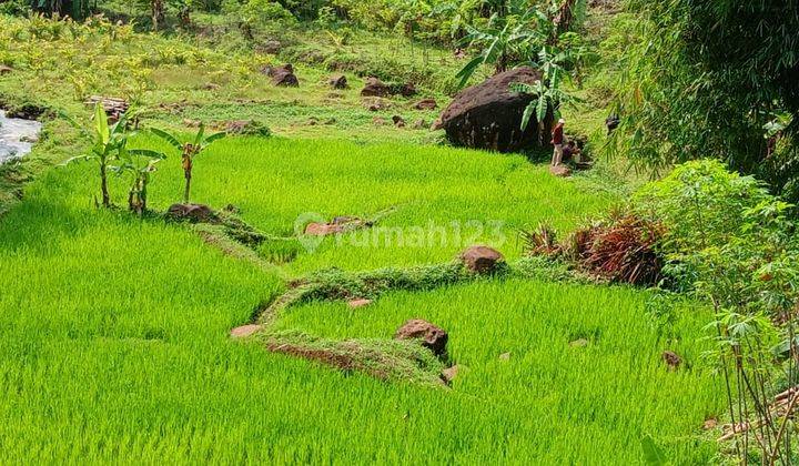 Di Jual Tanah Sawah Dan Darat Parakan Salak Sukabumi 1