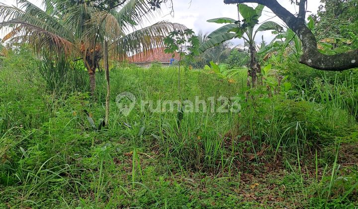 Land for Sale in Ci Seeng, Bogor, West Java Land for Sale in Ci Seeng, Bogor, West Java