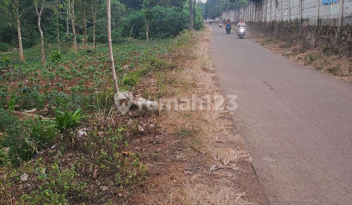 Di Jual Tanah Mekarsari Rumpin Bogot