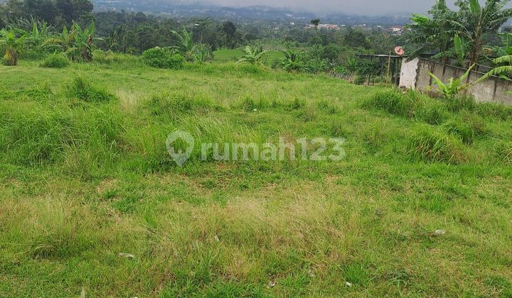 Land For Sale in Jeruk, Bogor, West Java.