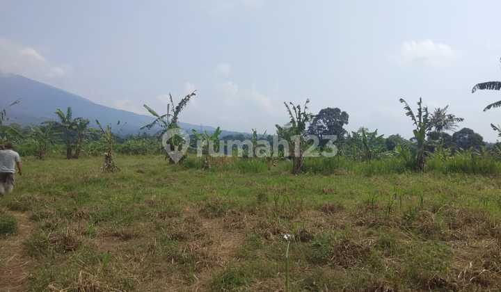 Di Jual Tanah Jalan Raya Cigombong 