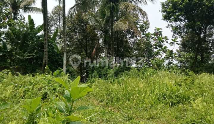 Di Jual Tanah Pamijahan Bogor Di Jual Tanah Pamijahan Bogor