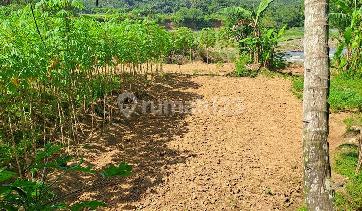 Di Jual Tanah Di Rumpin Bogor