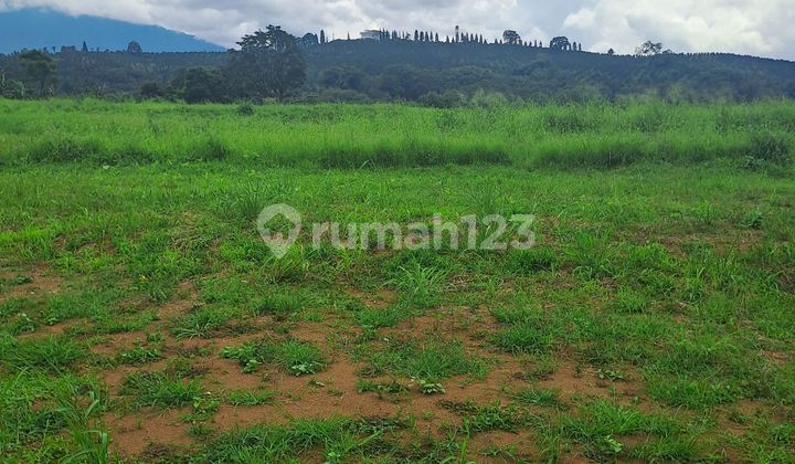 For Sale Land Puncak Bogor West Java.com For Sale Land Puncak Bogor West Java.com