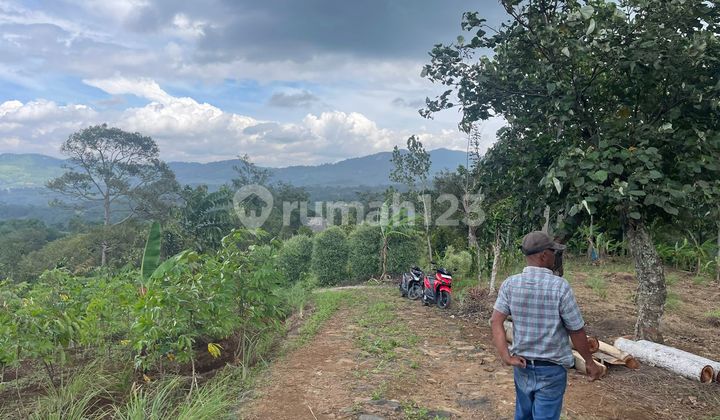 Di Jual Tanah Desa Cibadak Sukamkmur Jongol Di Jual Tanah Desa Cibadak Sukamkmur Jongol