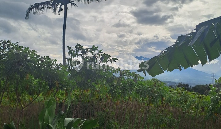 Di Jual Tanah di Pasir Angin Megamendung Bogor Di Jual Tanah di Pasir Angin Megamendung Bogor