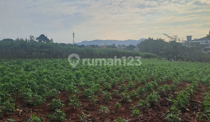 Di Jual Tanah Karikhil Ciseeng Bogor