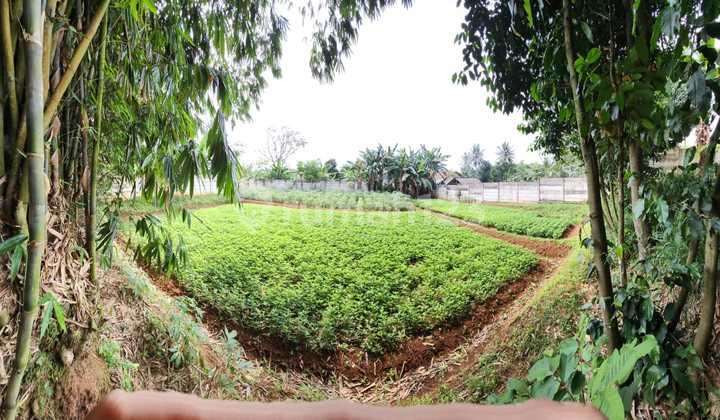 Land For Sale In Cogreg Ciseeng Bogor