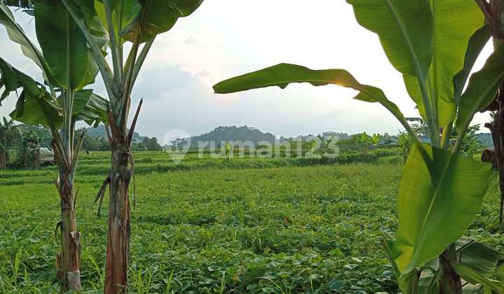 Di Jual Tanah Jalan Raya.dago