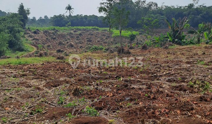 Di Jual Tanah Rumpin Bogor