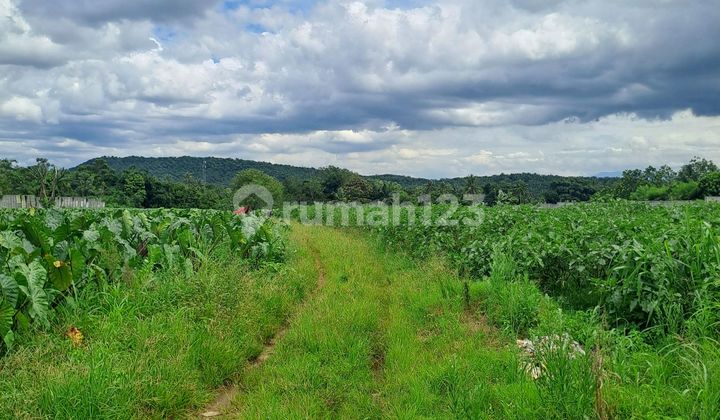 Di Jual Tanah Rancabungur ******** Barat