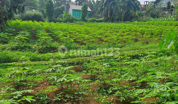 Di Jual Tanah Jalan Raya Rancabungur Bogor Di Jual Tanah Jalan Raya Rancabungur Bogor