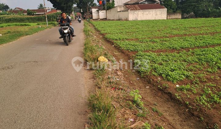 Di Jual Tanah Di Bojong Kopasus Kemang