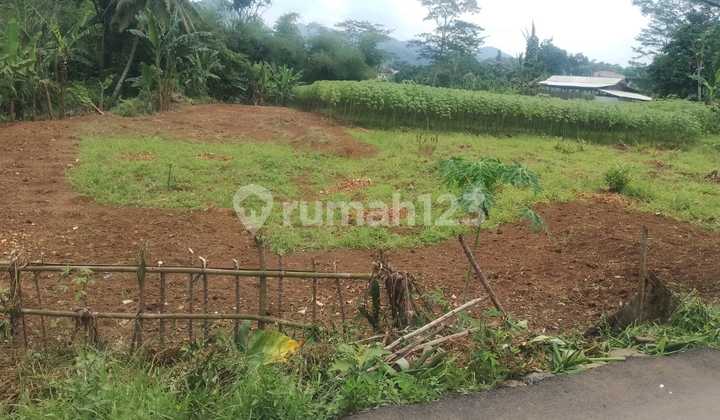For Sale: Village Land in Gobang, Rumpin, Bogor For Sale: Village Land in Gobang, Rumpin, Bogor