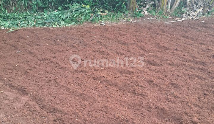 Di Jual Tanah Di Kemang Bogor Jawa Barat