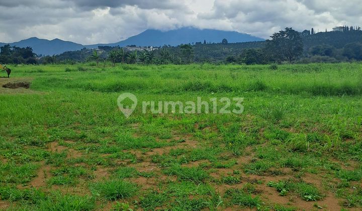 For Sale Land Puncak Bogor West Java.com For Sale Land Puncak Bogor West Java.com
