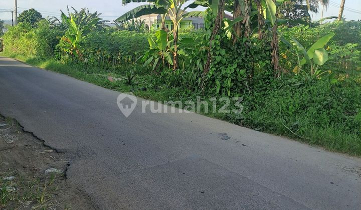 Di Jual Tanah di Rancabungur Bogor