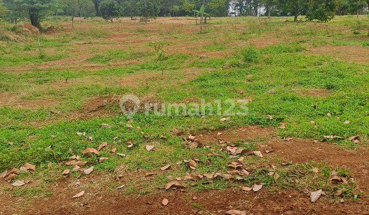For Sale Land Sukaresmi Sukamakmur