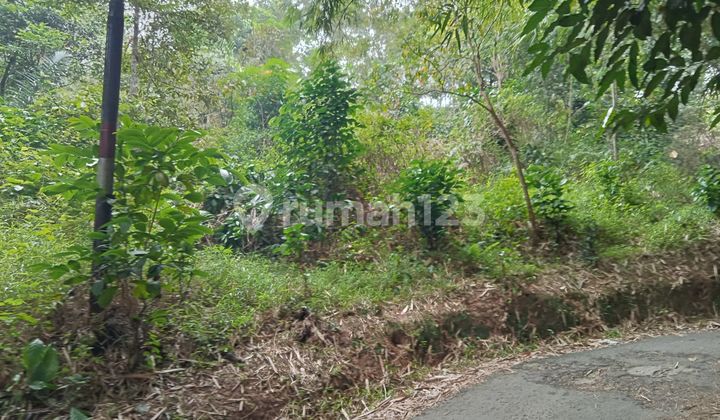 Di.jual Tanah Di Karyasari Leuwiliang Di.jual Tanah Di Karyasari Leuwiliang