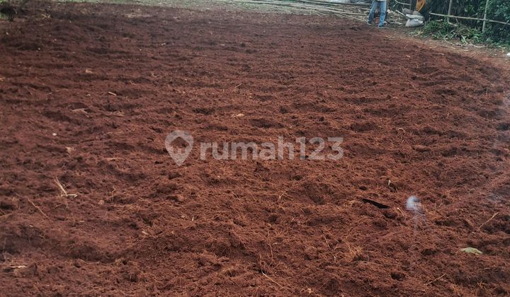 Di Jual Tanah Di Kemang Bogor Jawa Barat