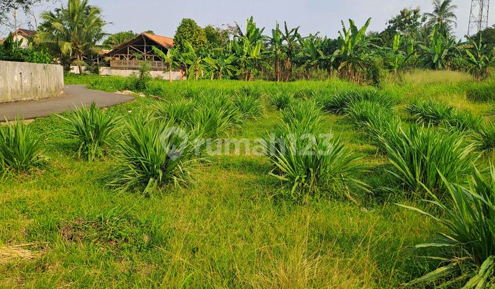 Di Jual Tanah Bojong Kopasus Kemang Bogor Di Jual Tanah Bojong Kopasus Kemang Bogor