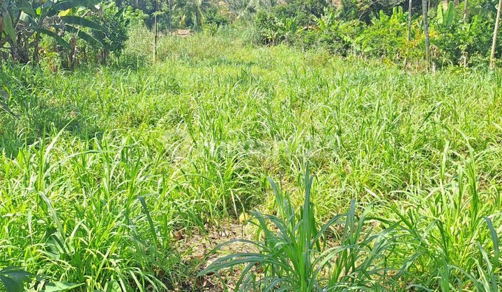 Di Jual Tanah Di Rumpin Bogor Jawa Barat