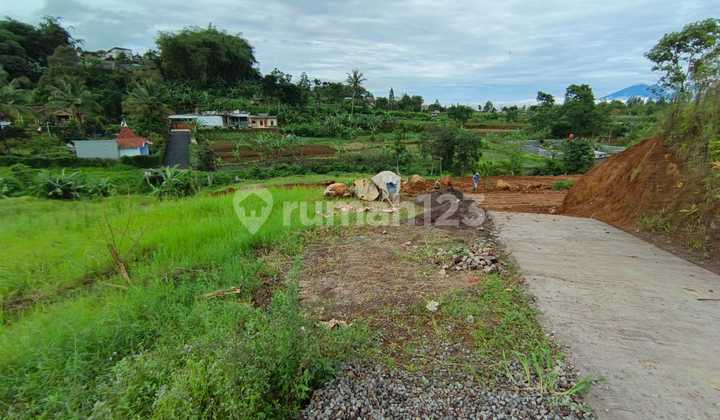 Di Jual Tanah Kapling Puncak Cisarua Bogor Jawa Barat Di Jual Tanah Kapling Puncak Cisarua Bogor Jawa Barat