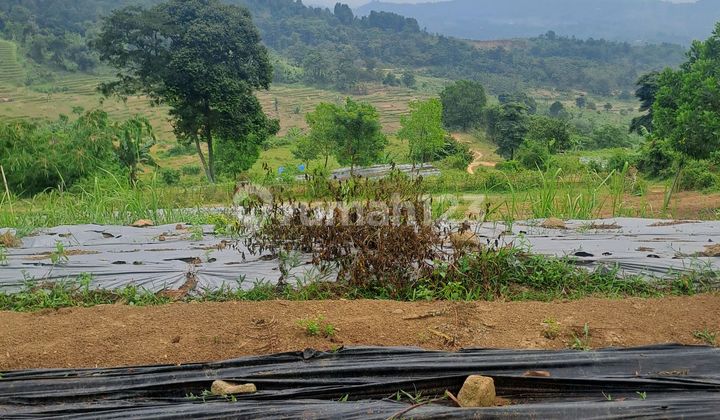 Tanah Di Jual Sukaresmi Sukamakmur Bogor