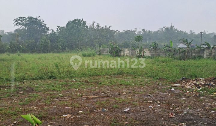 Land for Sale in Ciseeng Bogor Land for Sale in Ciseeng Bogor