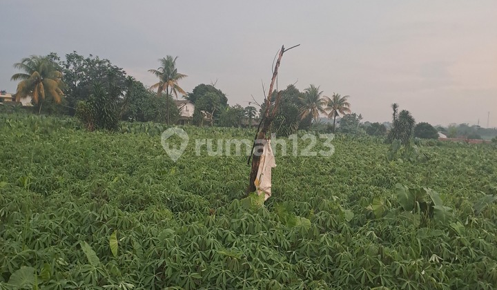 For Sale Land on Jalan Salabenda Raya Kemang Bogor For Sale Land on Jalan Salabenda Raya Kemang Bogor