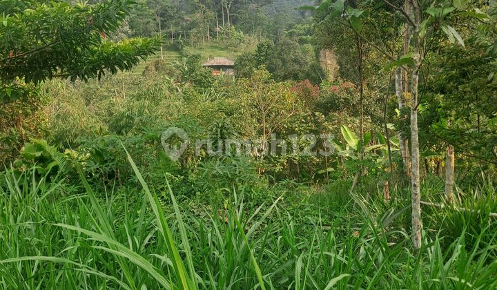 Tanah Di Jual Di Parig Nanggung Bogor Tanah Di Jual Di Parig Nanggung Bogor