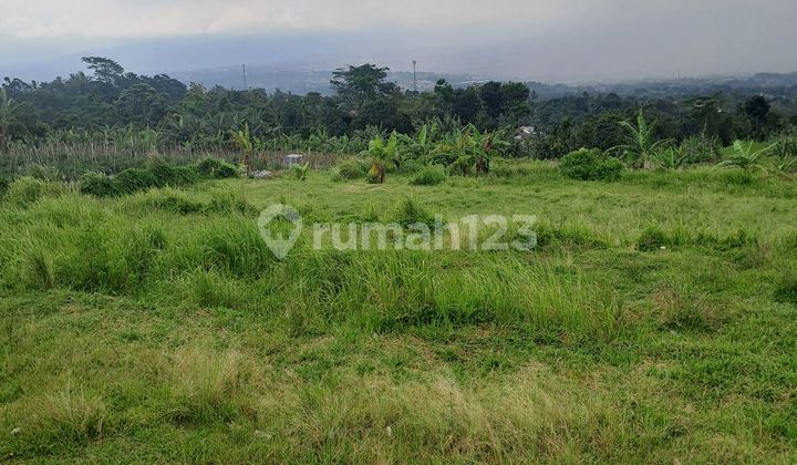 Di Jual Tanah Kebun Cengkeh Di Cijeruk Bogor.jawabarat Di Jual Tanah Kebun Cengkeh Di Cijeruk Bogor.jawabarat