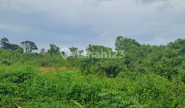 For Sale Land Jasinga Bogor