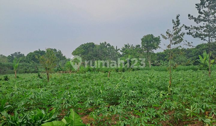 Di Tanah Cibeuteung Udik Ci.seeng Bogor Di Tanah Cibeuteung Udik Ci.seeng Bogor