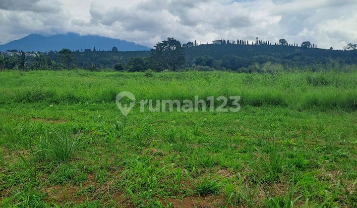 Di Jual Tanah Kapling Siap Bangun Puncak Bogor Jawa Barat Di Jual Tanah Kapling Siap Bangun Puncak Bogor Jawa Barat
