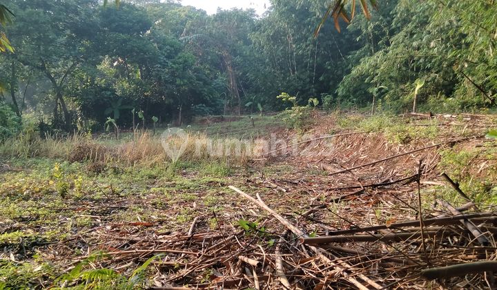 Di Jual Tanah Di Mekarsari Rumpin Bogor