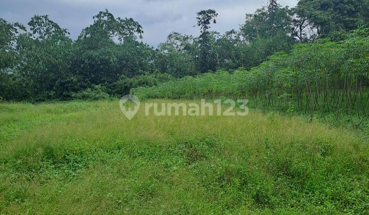Land for Sale on Parun Panjang Road, Rumpin, Bogor.