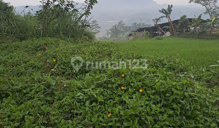 Di Jual Tanah Sukamakmur Nempel Jalan Provinsi