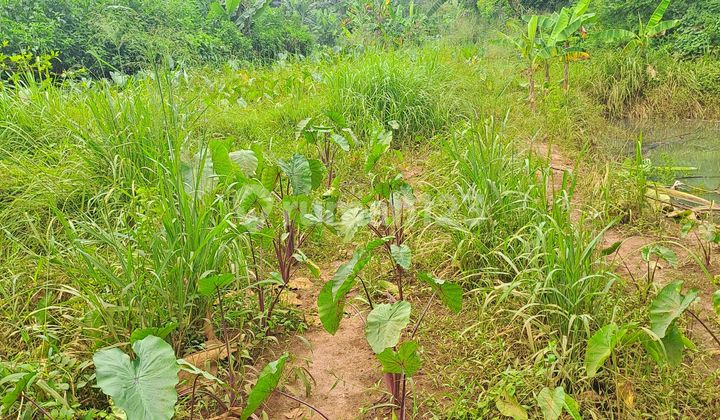 Di Jual Tanah Kemang Bogor Di Jual Tanah Kemang Bogor