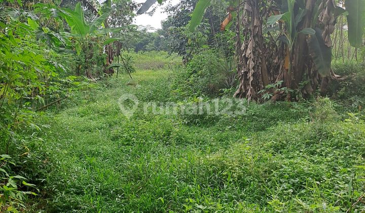 Di Jual Tanah Mekar Sari Rumpin Bogor