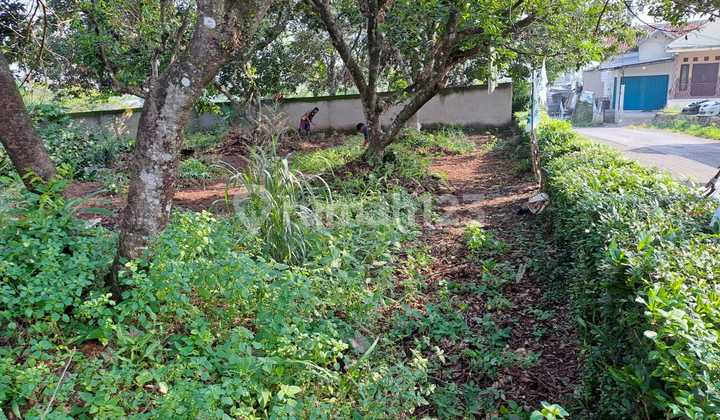 Land for Sale in Ciampea, Bogor Land for Sale in Ciampea, Bogor