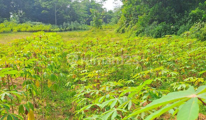 Di Jual Di Tamansari Rumpin Bogor